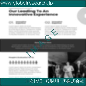 グローバルリサーチ調査資料のイメージ